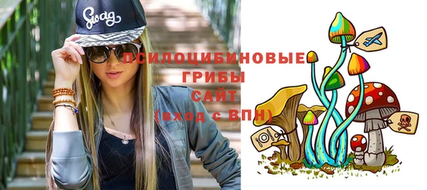 a pvp Верея