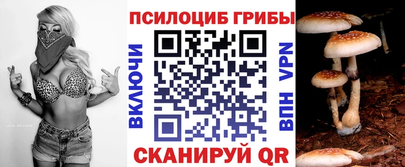 Псилоцибиновые грибы Cubensis Одинцово